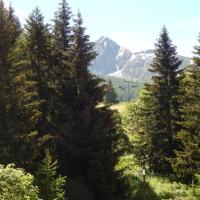 La vue du balcon