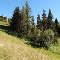 Dscn0955