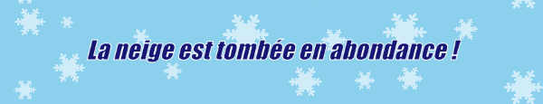 La neige est tombee en abondance
